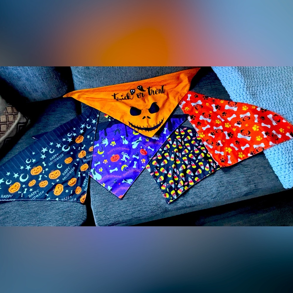 5 dog bandanas